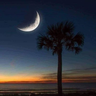 TLenaire2179's profile picture. Christ-Follower Son Brother Husband Father Grandfather. 🇺🇲 1st 2nd Amndmnt, Pro-Life, National Sovereignty, States Rights, MAGA, Pro Israel, Trump 2024