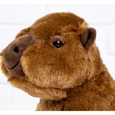 kikistorenew's profile picture. 