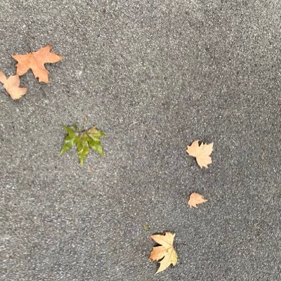 ShuYoung1234's profile picture. 