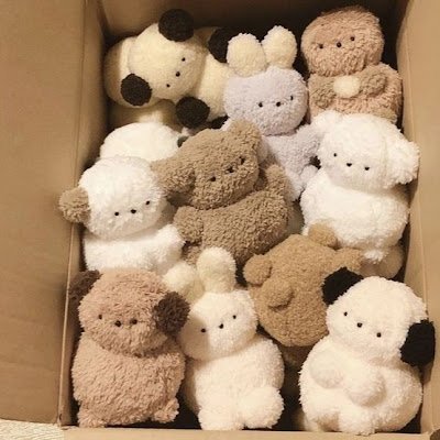 belongtothestar's profile picture. 