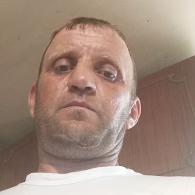 Vladimir589678's profile picture. 