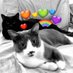 π π―οΈZahlen & CAT(0) (@nombersandshaep) Twitter profile photo π π―οΈZahlen & CAT(0) (@nombersandshaep) Twitter profile photo