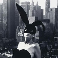 ミサミサ (@erinaceus_spp) 's Twitter Profile