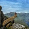 kevharrislfc's profile picture. Great outdoors, adventure, nature, football.