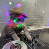 DJCAT COMMUNITY $DJCAT (@teamdjcat) 's Twitter Profile Photo DJCAT COMMUNITY $DJCAT (@teamdjcat) 's Twitter Profile Photo