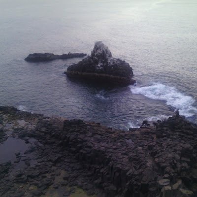 BBarkire98965's profile picture. La vie oscille, comme un pendule, de droite à gauche, de la souffrance à l’ennui. Schopenhauer.