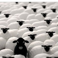 AnsaldoVernica's profile picture. 