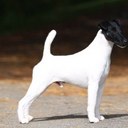 Martin Drexler - @sevenminusone - Twitter