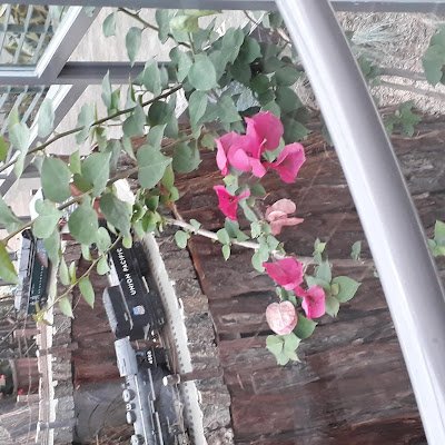 gimseog38719864's profile picture. 