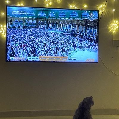 risvoyage's profile picture. اللهُم مالك الملك تؤتي الملك من تشاءُ وتنزع الملك ممن تشاء و تعز من تشاء وَتذل مَن تشاءُ بِيدكَ الخيرُ إِنّك على كل شيء قدير.