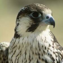 Mmmoo846's profile picture. 