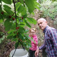 TMSY Selamicoban (@selamicoba74957) 's Twitter Profile Photo