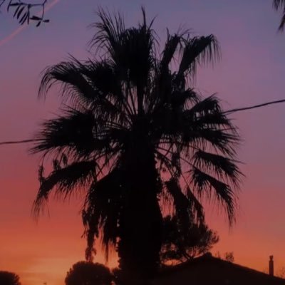 planetesysteme's profile picture. 