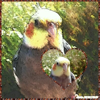 Kiki_et_moi's profile picture. Dessinatrice, passionné de dessin animé et anime manga japonais, en ce moment obsédé par Digital circus et Hazbin Hôtel.