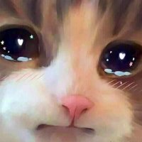 molimemu (@molimemu) 's Twitter Profile