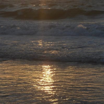 dai1ii's profile picture. UoM’25