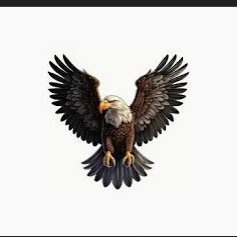 Son of the soil. Free thinker. unapologetically conservative.