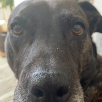 Oscar Fisher (@oscfisher) 's Twitter Profile