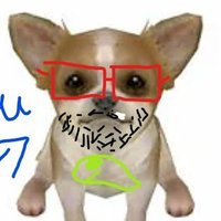 Arnau (@arnauputo_manco) 's Twitter Profile Photo