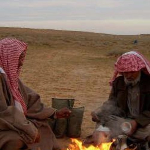 shafi222's profile picture. 