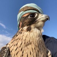 ززز (@allahyl3nalyhod) 's Twitter Profile Photo ززز (@allahyl3nalyhod) 's Twitter Profile Photo