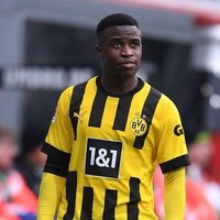 Dodi (@bvb_za) 's Twitter Profile Photo