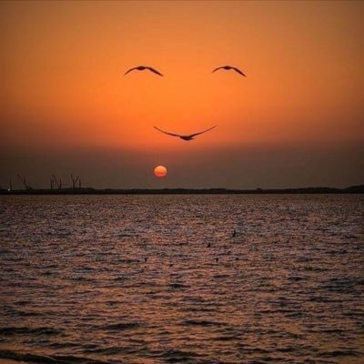 MZsozu's profile picture.