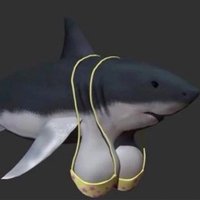 it's not me (@damis_account) 's Twitter Profile Photo