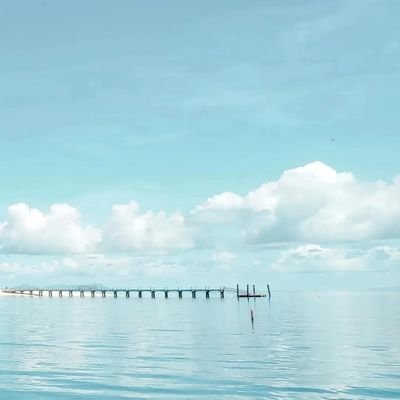 wen2461's profile picture. everything is my life