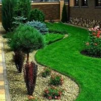 Good news (@goodnews773233) 's Twitter Profile Photo