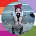 hornet🫧🍉 HUGGED CARR!!! (@lndustrykids) Twitter profile photo hornet🫧🍉 HUGGED CARR!!! (@lndustrykids) Twitter profile photo