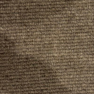 Evan56566's profile picture. disc: eg8879