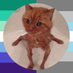 Saltus von Kaktus ๐ง๐ต (@saltycactus22) Twitter profile photo Saltus von Kaktus ๐ง๐ต (@saltycactus22) Twitter profile photo