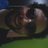 tiagoemerick's profile image