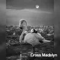 madelyncrssso's profile picture. nfts are important, but education about nfts is too. 📕🎨🧑‍🎨 continuously imparting nft knowledge to the people