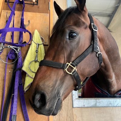 efforia_forever's profile picture. 一口馬主をやってます。活躍馬はエフフォーリア、シュヴァリエローズですが、それ以外は…。また仲間内POGを30年程続けてます。現在20頭持ちのインフレPOGですが、過去にはコントレイル、リバティアイランドで牡馬牝馬3冠達成しました🙌フォロバほぼ💯で👍