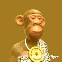 i_chimokuiiper's profile picture. Bayc  crypto & nft’s