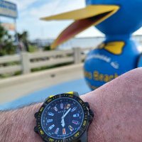 TheWatchDude (@the_watch_dude) 's Twitter Profile Photo TheWatchDude (@the_watch_dude) 's Twitter Profile Photo
