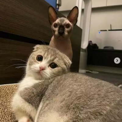 ake04689979's profile picture. 