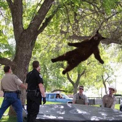 Jman6389's profile picture. 