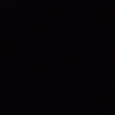 enya_tree's profile picture. 