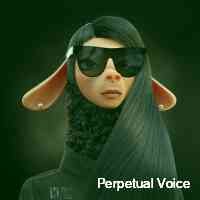 perpetualoice's profile picture. 🌟  frens