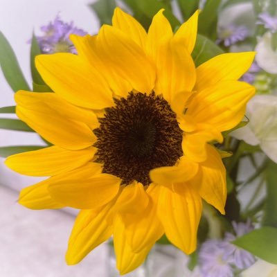 hannah148881's profile picture. 🚙 / 프리랜서