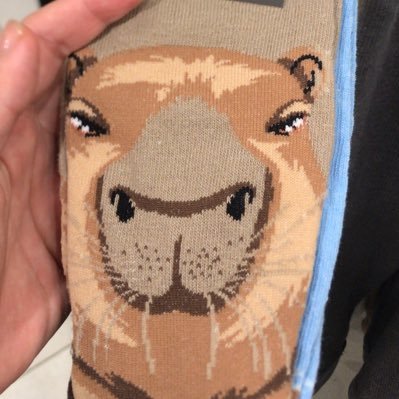 kisse_nya's profile picture. C4øS