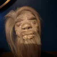 Brian (@undeader) 's Twitter Profile
