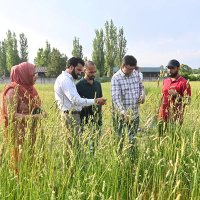 ICAR-IGFRI Srinagar Station (@igfris) 's Twitter Profile