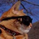 dex73r4cf6d0d3's profile picture. 