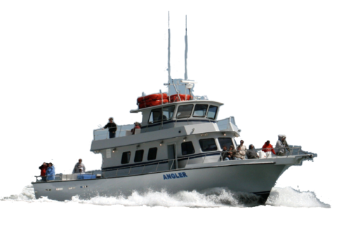 AnglerBoat_OCMD's profile picture. The Angler specializes in deep sea fishing for seabass, tautog, flounder, and bluefish. Your trip includes FREE rod, reel, and bait.