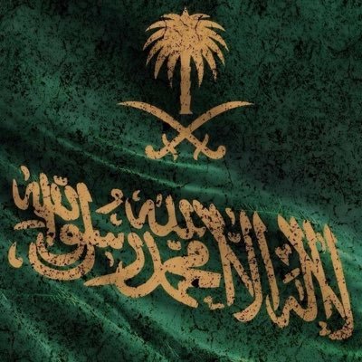 ldhrue's profile picture. ترى الذكرى ولو حلوة طواريها تهد الحيل ....💙