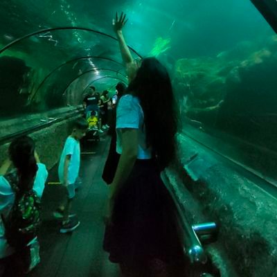 elfrida128's profile picture. Do what you can 🩵🤍🍀